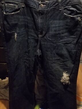 Lane Bryant Straight Distressed Dark Blue Jeans